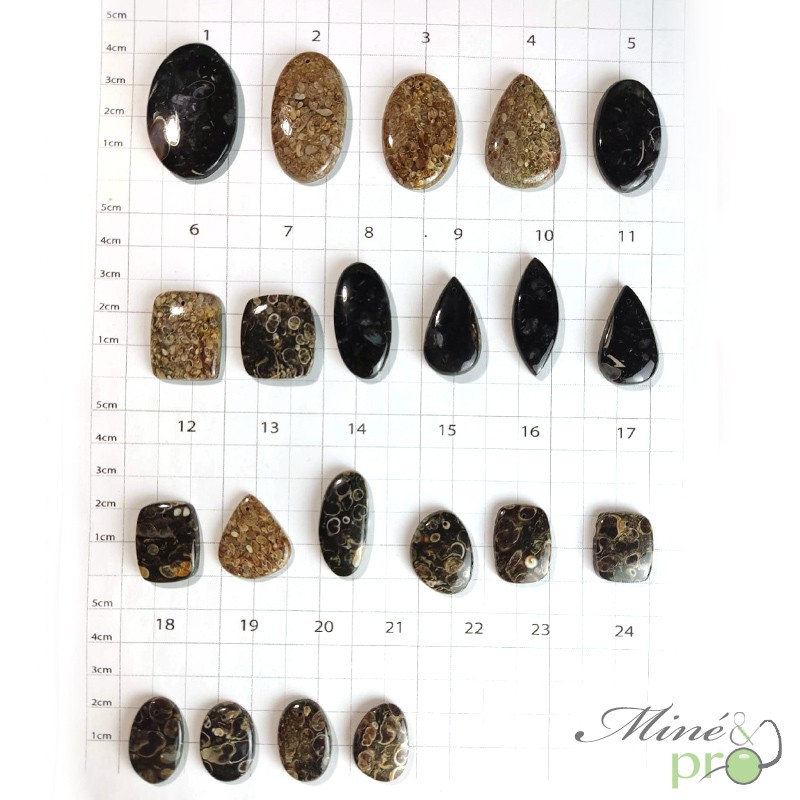 Agate turitelle - cabochons percés Agate turitelle - cabochons percés