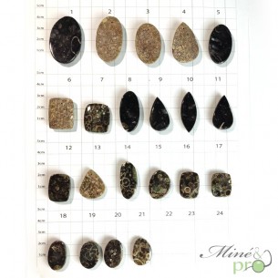 Agate turitelle - cabochons percés