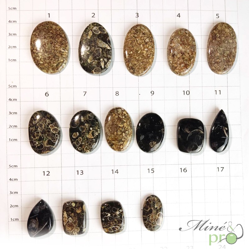 Agate turitelle - cabochons Agate turitelle - cabochons