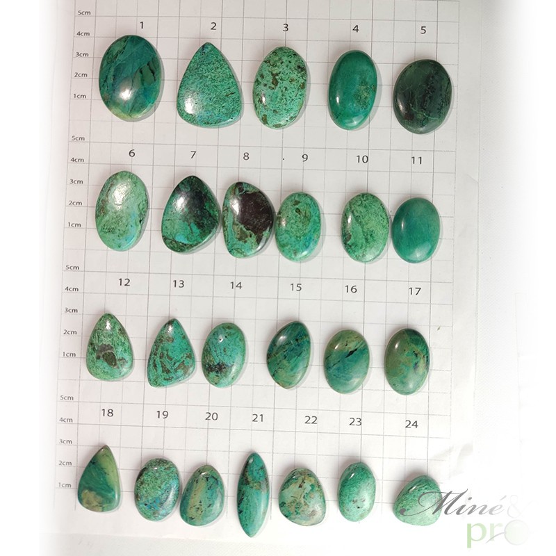 Chrysocolle Malachite AB - cabochons