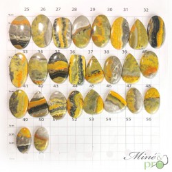 Jaspe bumble bee - cabochons