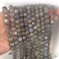 Labradorite Extra en perles rondes 8mm - fil complet