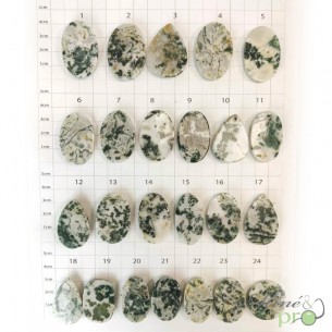 Agate arbre - cabochons percés - grossiste en cabochons bouches du rhone Agate arbre - cabochons percés - grossiste en cabochons bouches du rhone