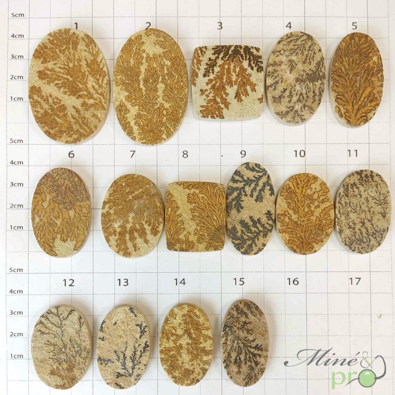 Dendrite de Manganese - cabochons