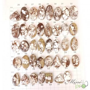 Magnesite - cabochons
