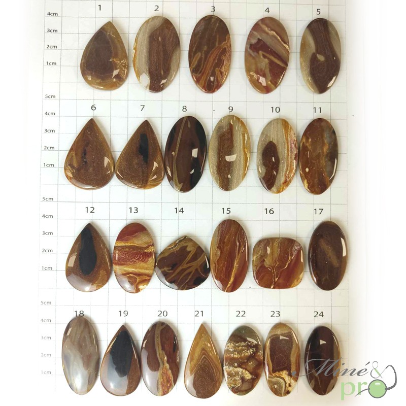 Bois fossile - cabochons