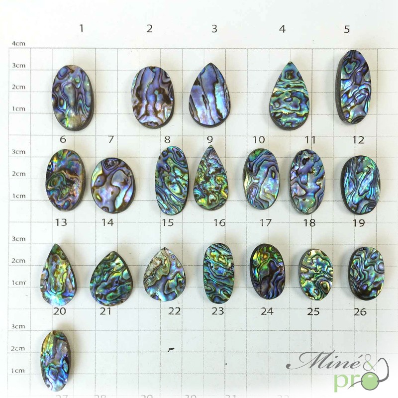 Abalone - cabochons