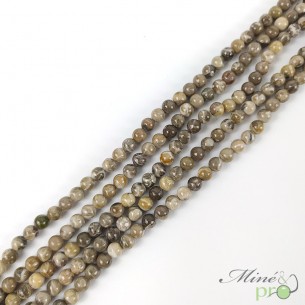 Corail fossile en perles rondes 6mm - fil complet