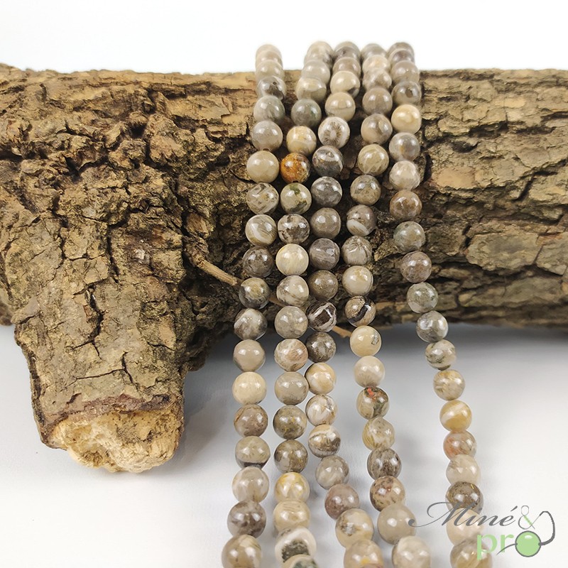 Corail fossile en perles rondes 6mm - fil complet