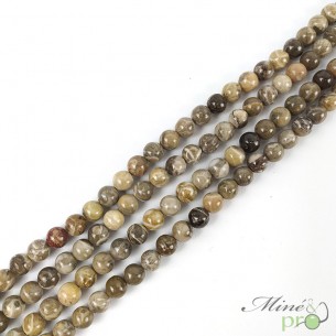 Corail fossile en perles rondes 8mm - fil complet