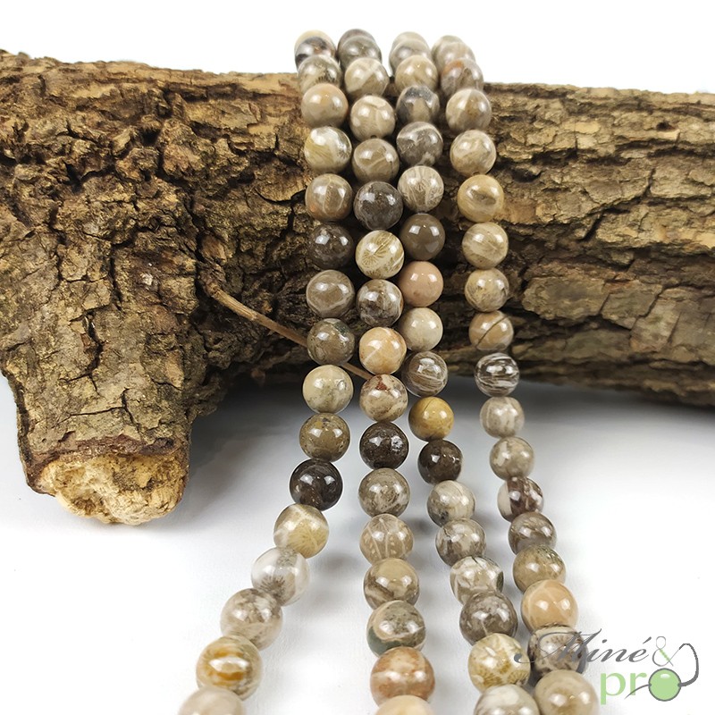 Corail fossile en perles rondes 8mm - fil complet