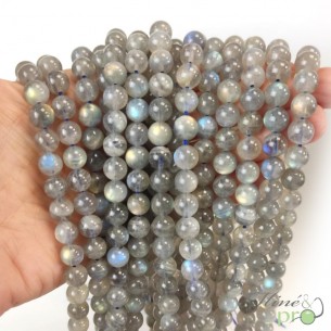 Labradorite Extra en perles rondes 8mm - fil complet