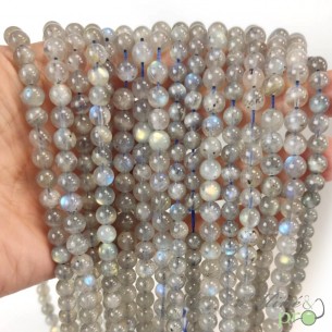 Labradorite Extra en perles rondes 8mm - fil complet