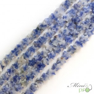 Sodalite en perles plates "étoile" 6mm - fil complet