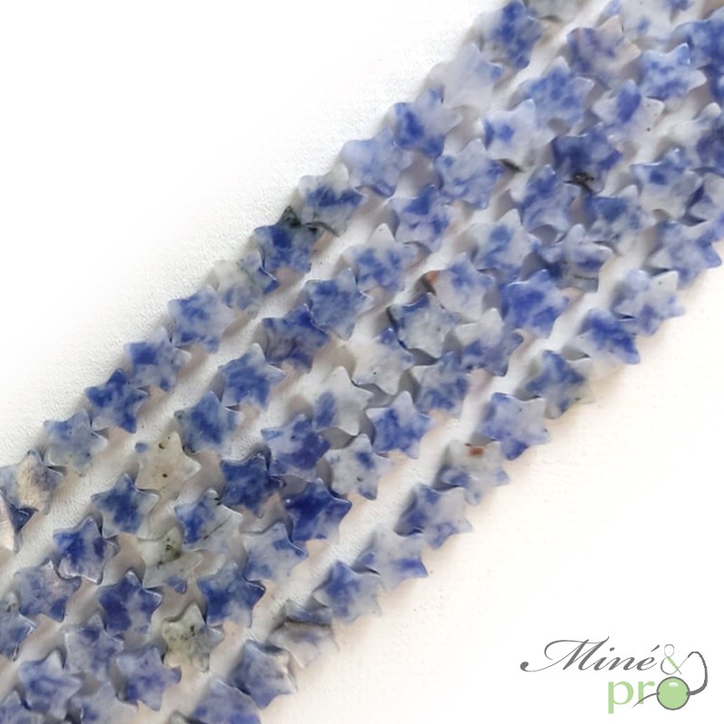 Sodalite en perles plates "étoile" 6mm - fil complet
