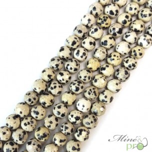 Jaspe dalmatien en perles facettées 8mm - fil complet