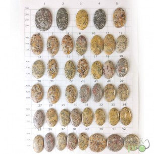 Jaspe léopard - cabochons percés