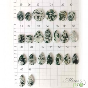 Agate arbre - cabochons Agate arbre - cabochons