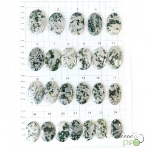 Agate arbre - cabochons