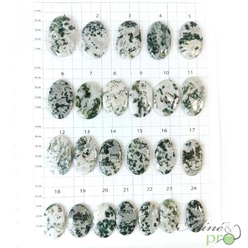 Agate arbre - cabochons Agate arbre - cabochons