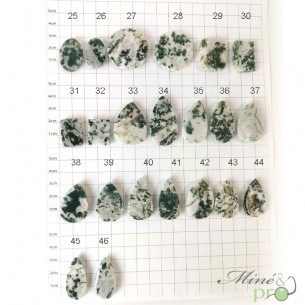 Agate arbre - cabochons Agate arbre - cabochons