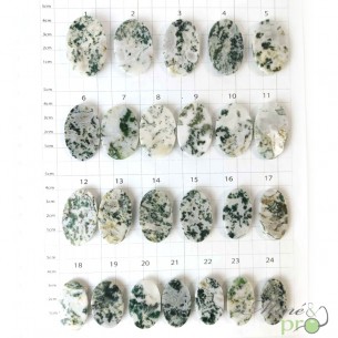 Agate arbre - cabochons Agate arbre - cabochons