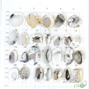 Opale dendrite A+ - Cabochons