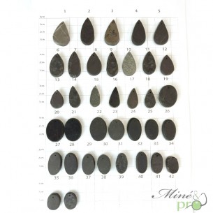 Abalone - cabochons percés