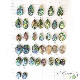 Abalone - cabochons percés