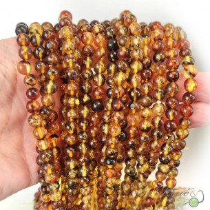 Ambre mexicain en perles rondes 6mm - fil complet