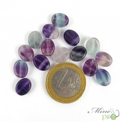 Fluorite en perles plates "ovale" 11mm - lot de 5
