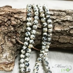 Jaspe dalmatien naturel en perles rondes 6mm - fil complet