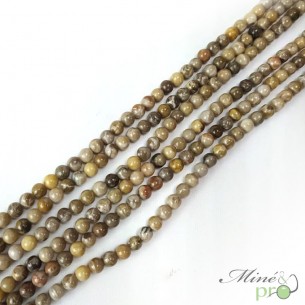 Corail fossile en perles rondes 6mm - fil complet