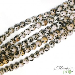 Jaspe dalmatien naturel en perles rondes 8mm - fil complet