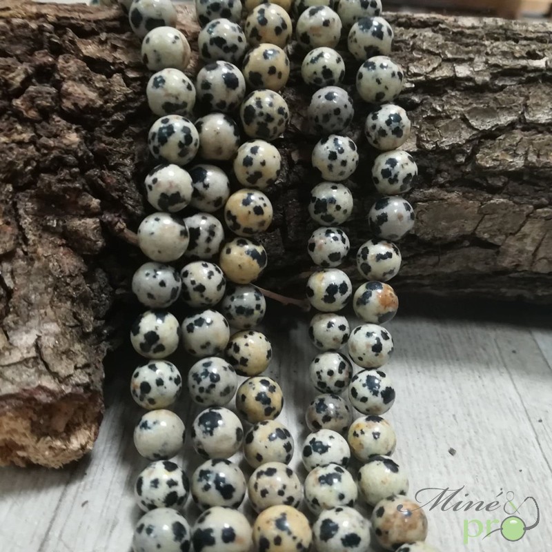 Jaspe dalmatien naturel en perles rondes 8mm - fil complet
