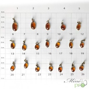 Grenat hessonite - pendentifs cerclés