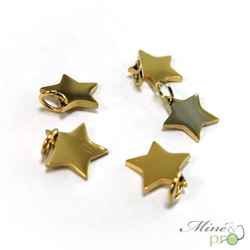 Etoiles en acier inoxydable 10mm - lot de 5 Etoiles en acier inoxydable 10mm - lot de 5