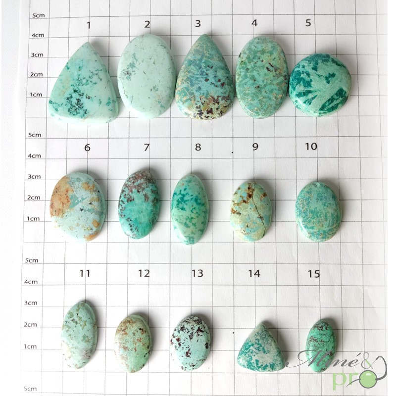 Turquoise véritable - cabochons