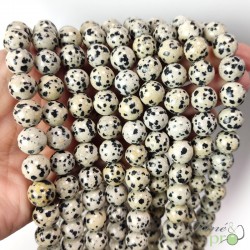 Jaspe dalmatien en perles rondes 10mm - fil complet