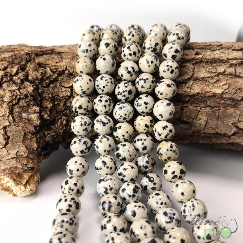 Jaspe dalmatien en perles rondes 10mm - fil complet